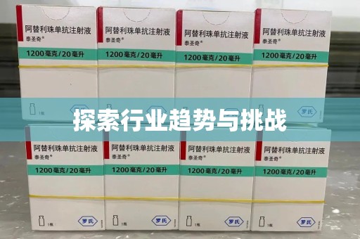 商丘探索行业趋势与挑战