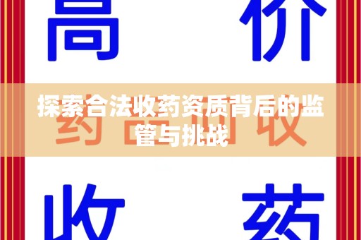商丘探索合法收药资质背后的监管与挑战