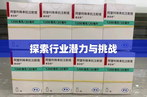 商丘探索行业潜力与挑战