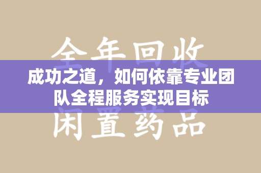商丘成功之道，如何依靠专业团队全程服务实现目标