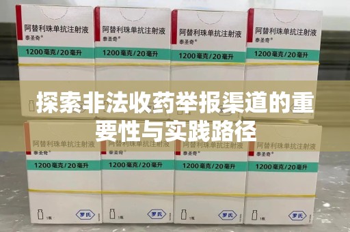 商丘探索非法收药举报渠道的重要性与实践路径