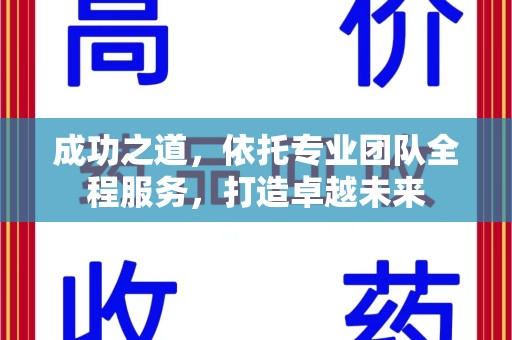 商丘成功之道，依托专业团队全程服务，打造卓越未来